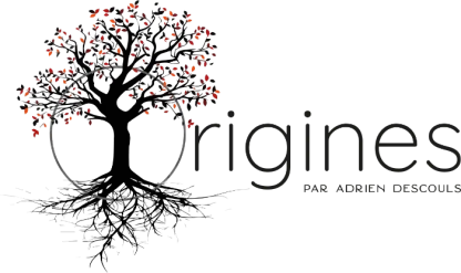 Arbre stylisé avec des racines apparentes et des feuilles rouges, accompagné du texte "rigines par Adrien Descouls"