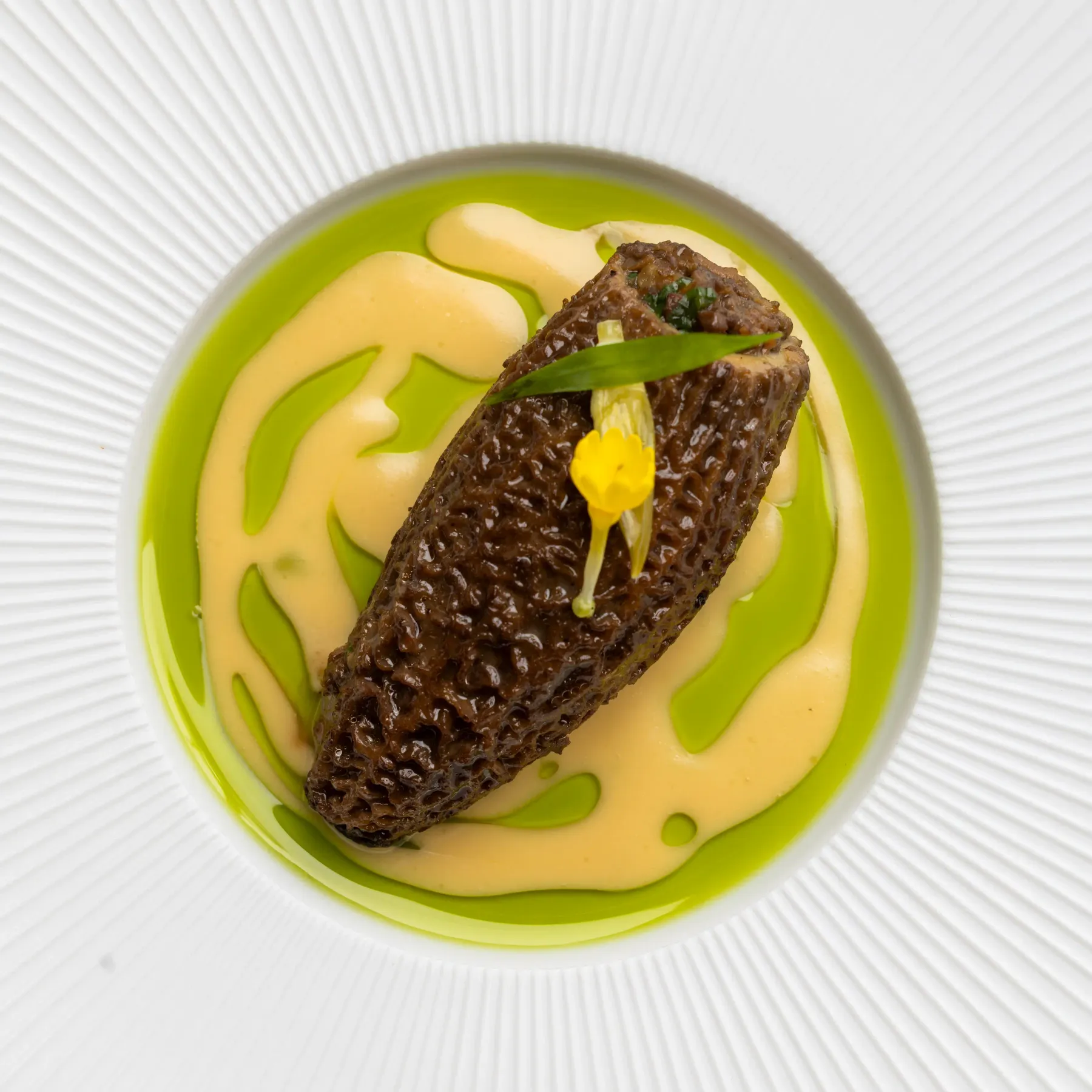 A dish with a slice of black truffle on a green and yellow sauce