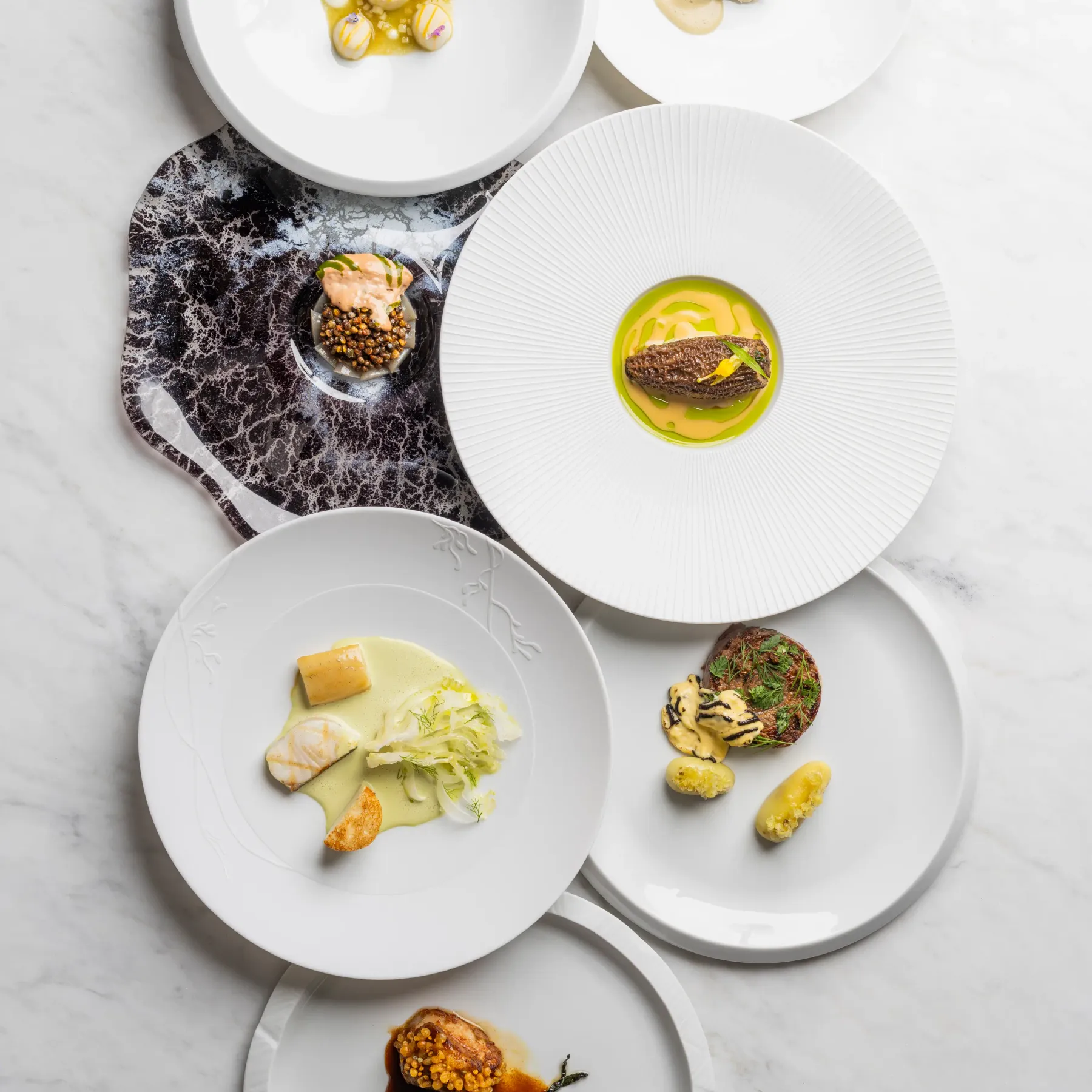 Six white plates featuring a variety of gourmet dishes arranged on a marble surface
